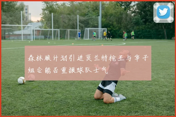 森林狼计划引进莫兰特枪王与华子组合能否重振球队士气